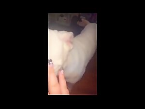 bestiality videos exposed